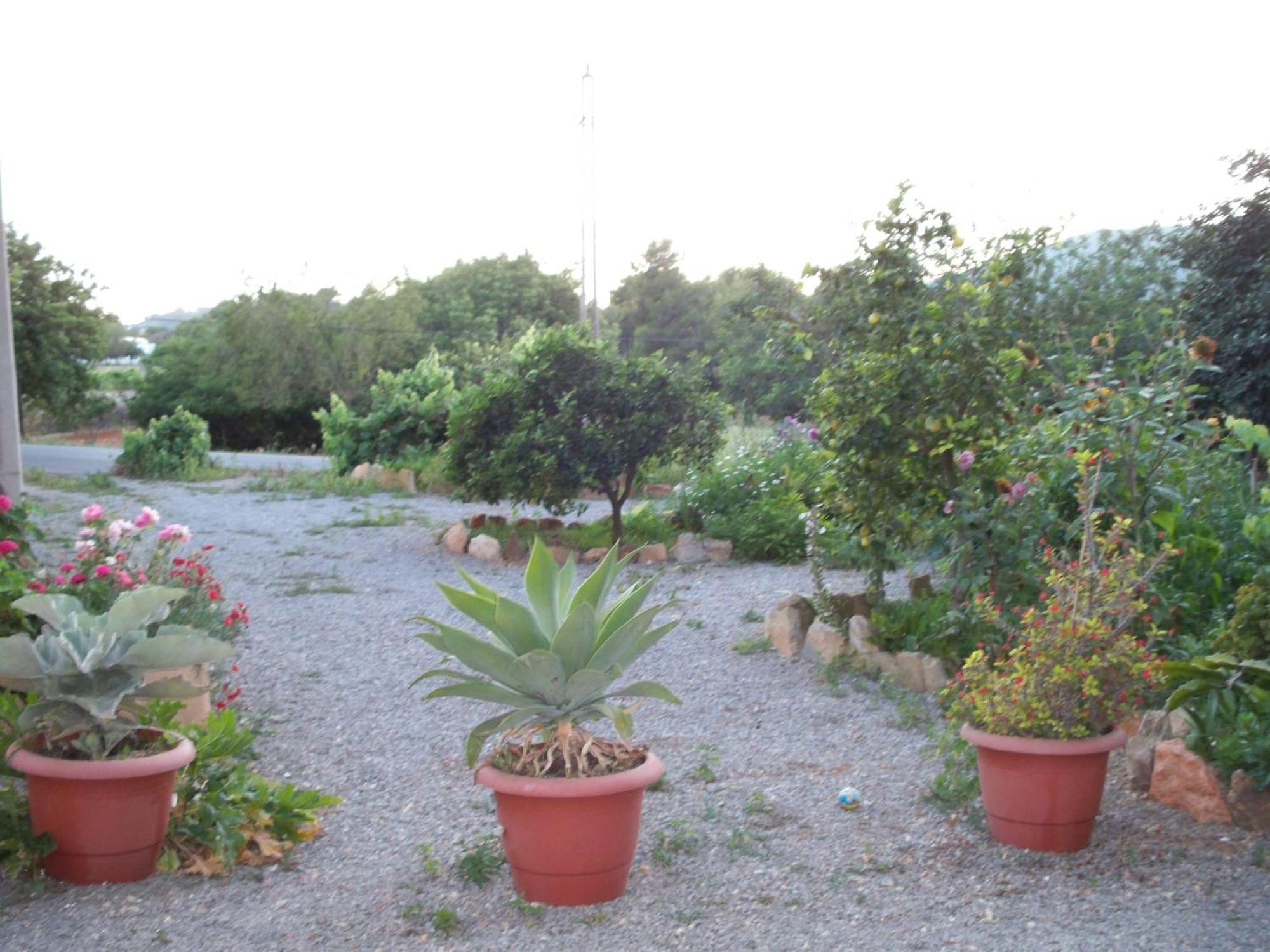 Tres Golondrinas Guest house Es Figueral